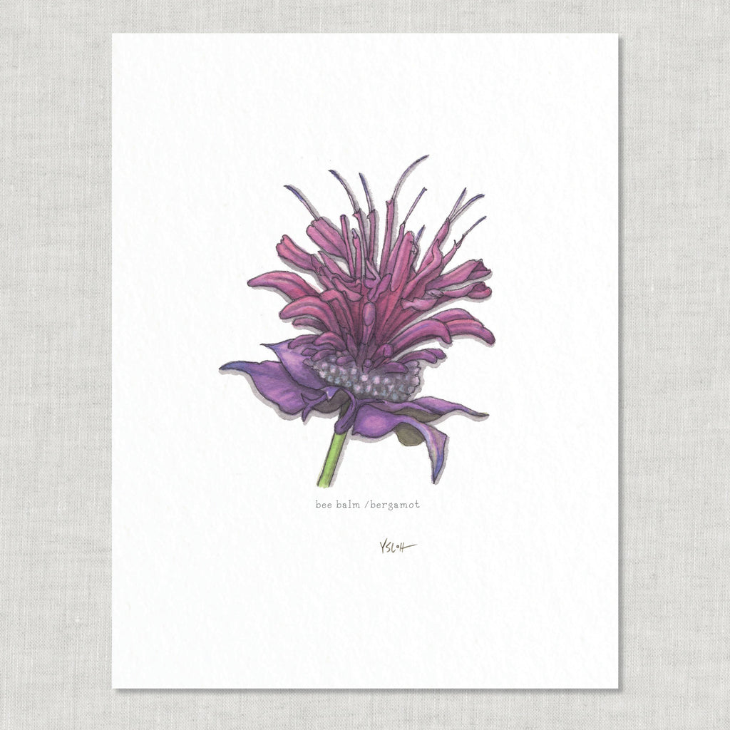 Prints / Flowers (1 of 2)