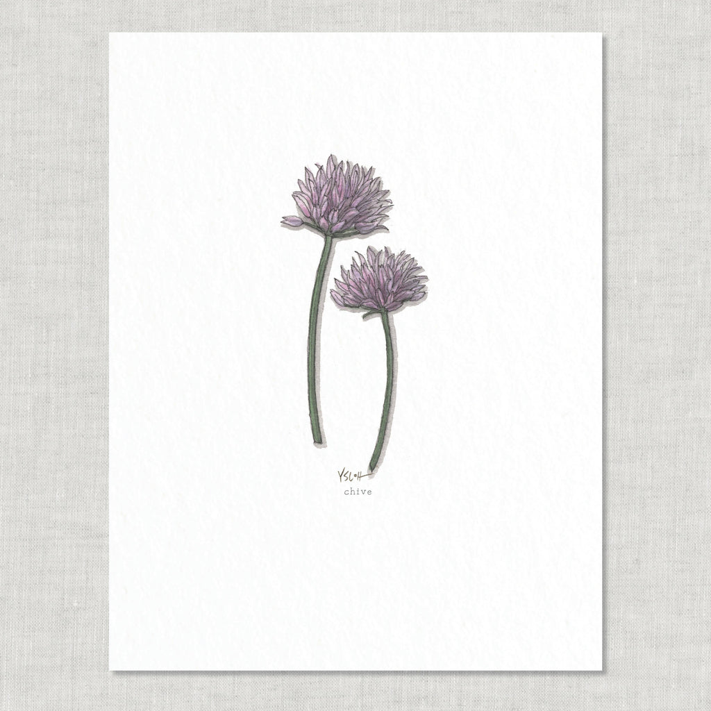 Prints / Flowers (1 of 2)