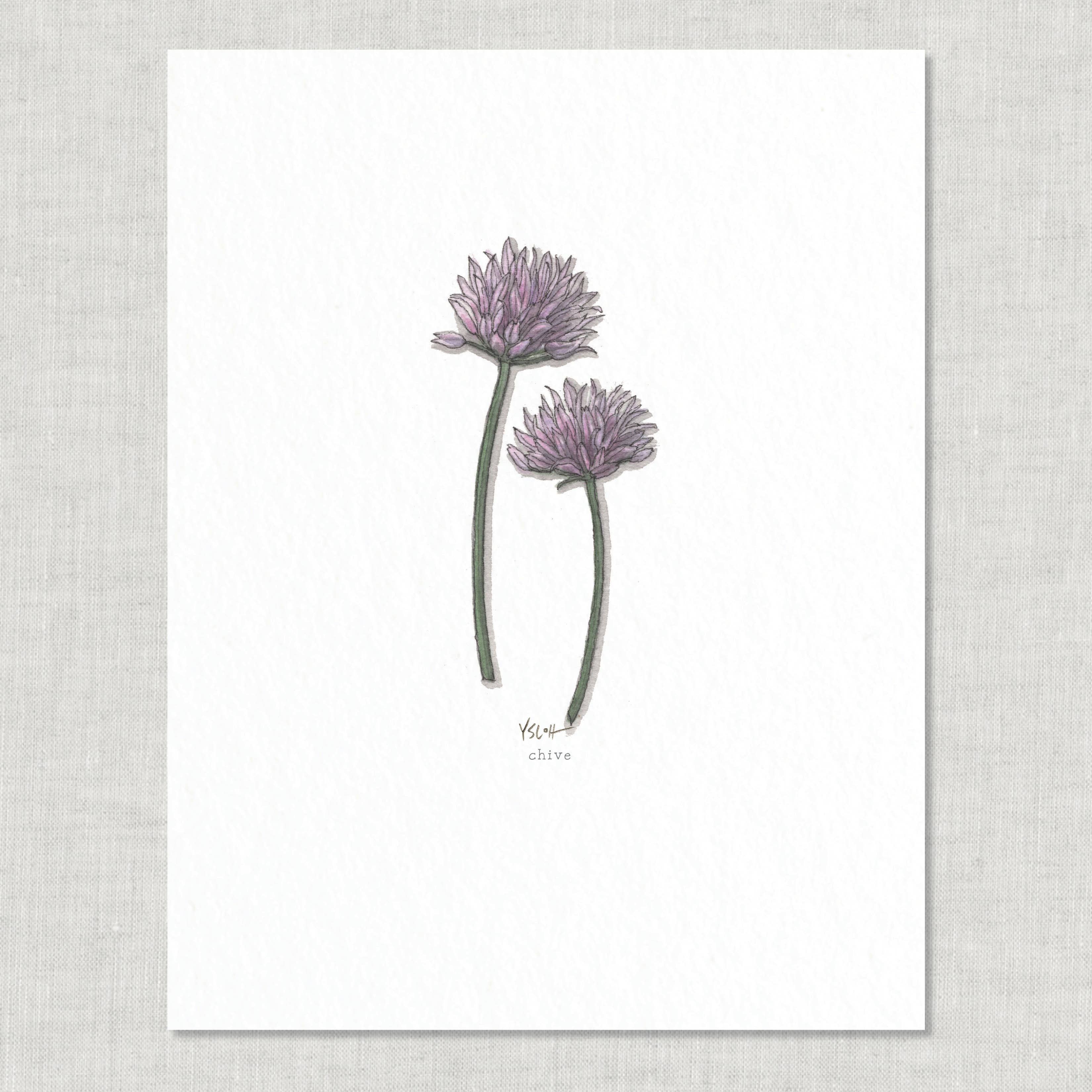 Prints / Flowers (1 of 2)