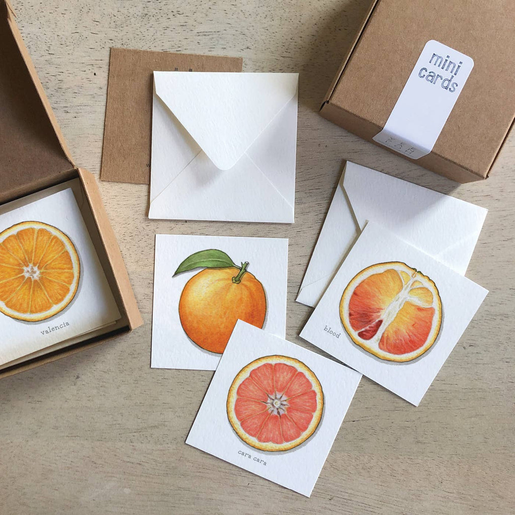 Mini Cards Set / Fruit . Oranges
