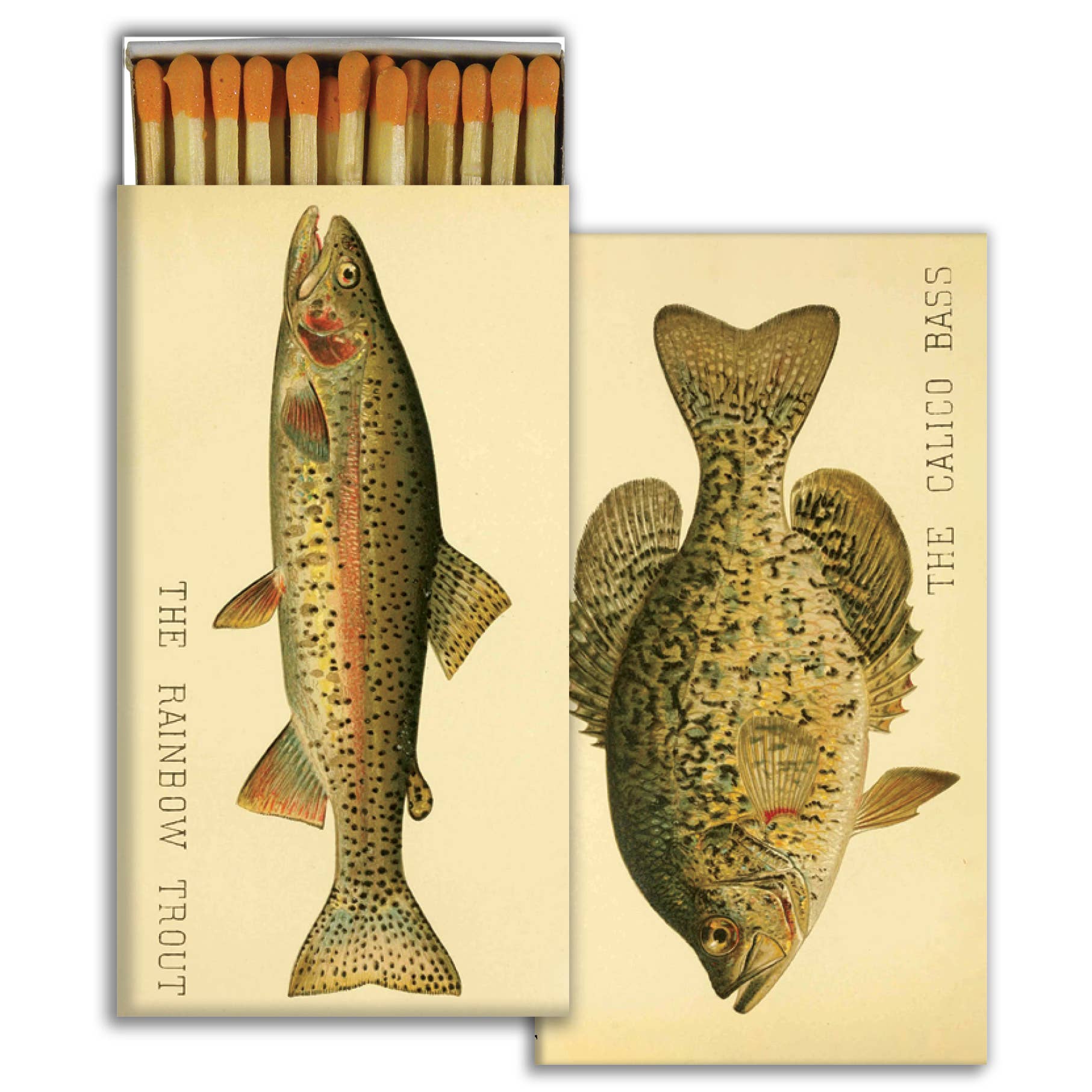 Matches - Lake Fish