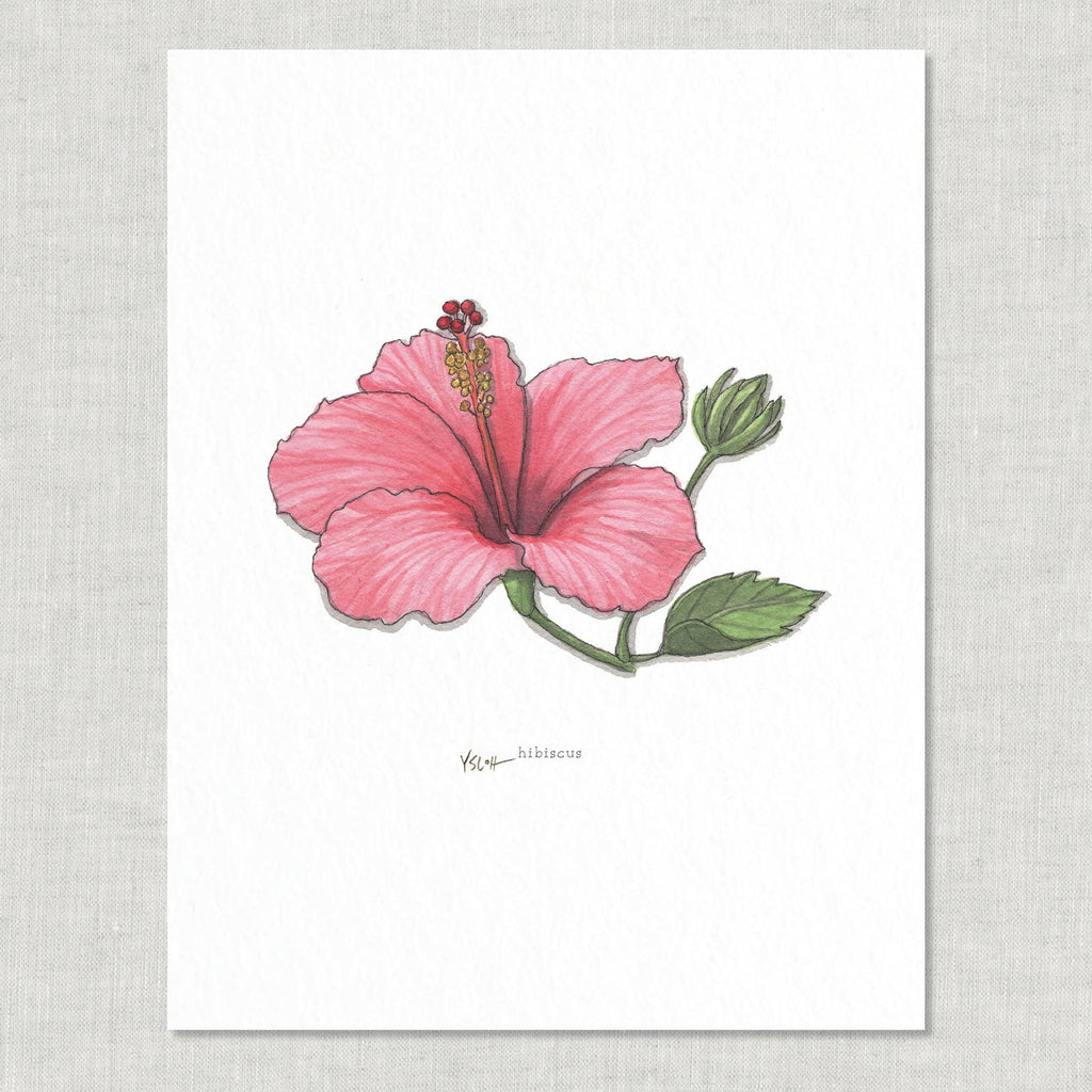 Prints / Flowers (1 of 2)