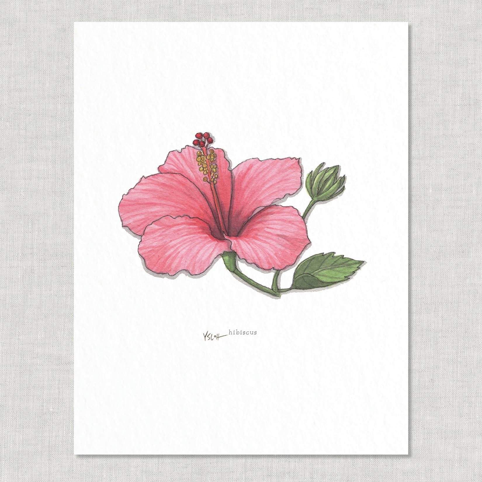 Prints / Flowers (1 of 2)