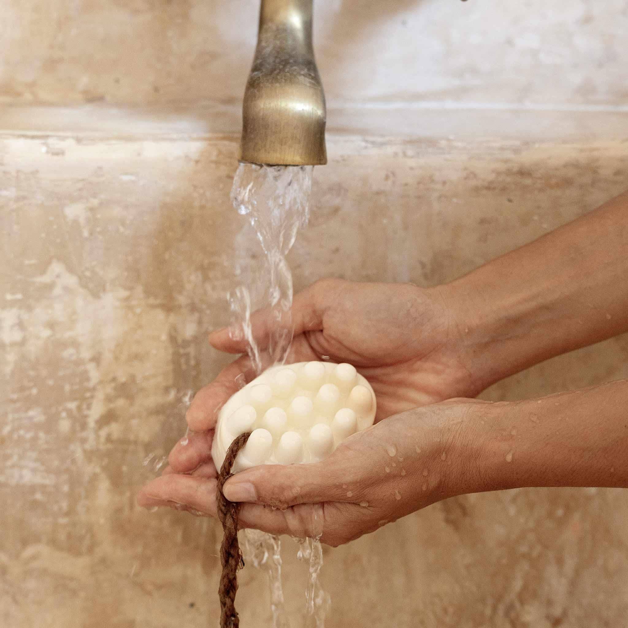 Hinoki + Shea Butter Bar Soap
