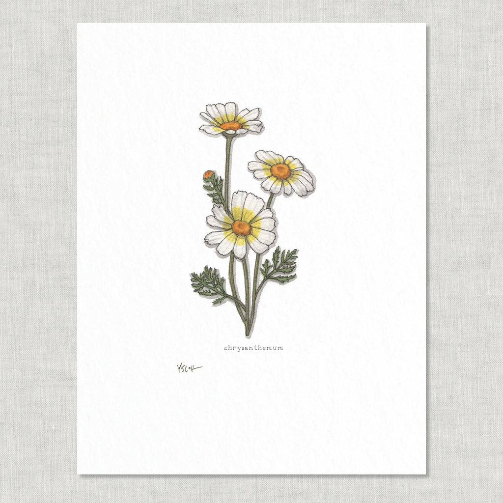 Prints / Flowers (1 of 2)