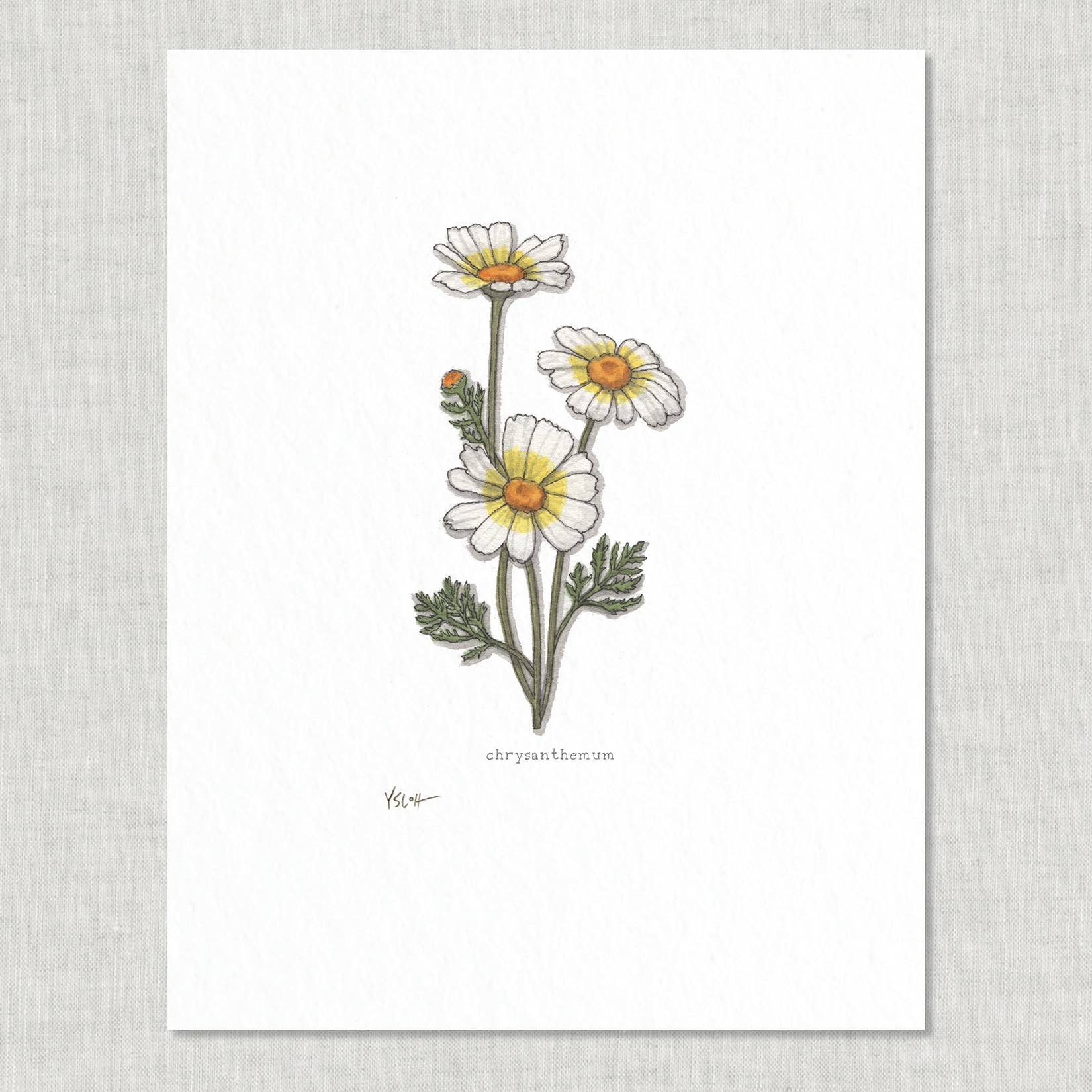 Prints / Flowers (1 of 2)