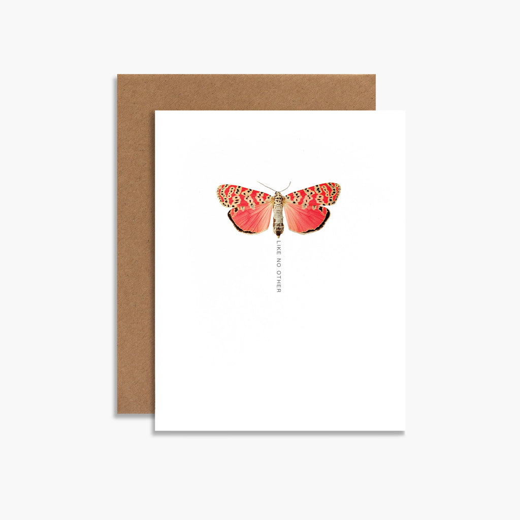 Like No Other Moth Botanical Greeting Card Birthday Card