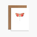Like No Other Moth Botanical Greeting Card Birthday Card