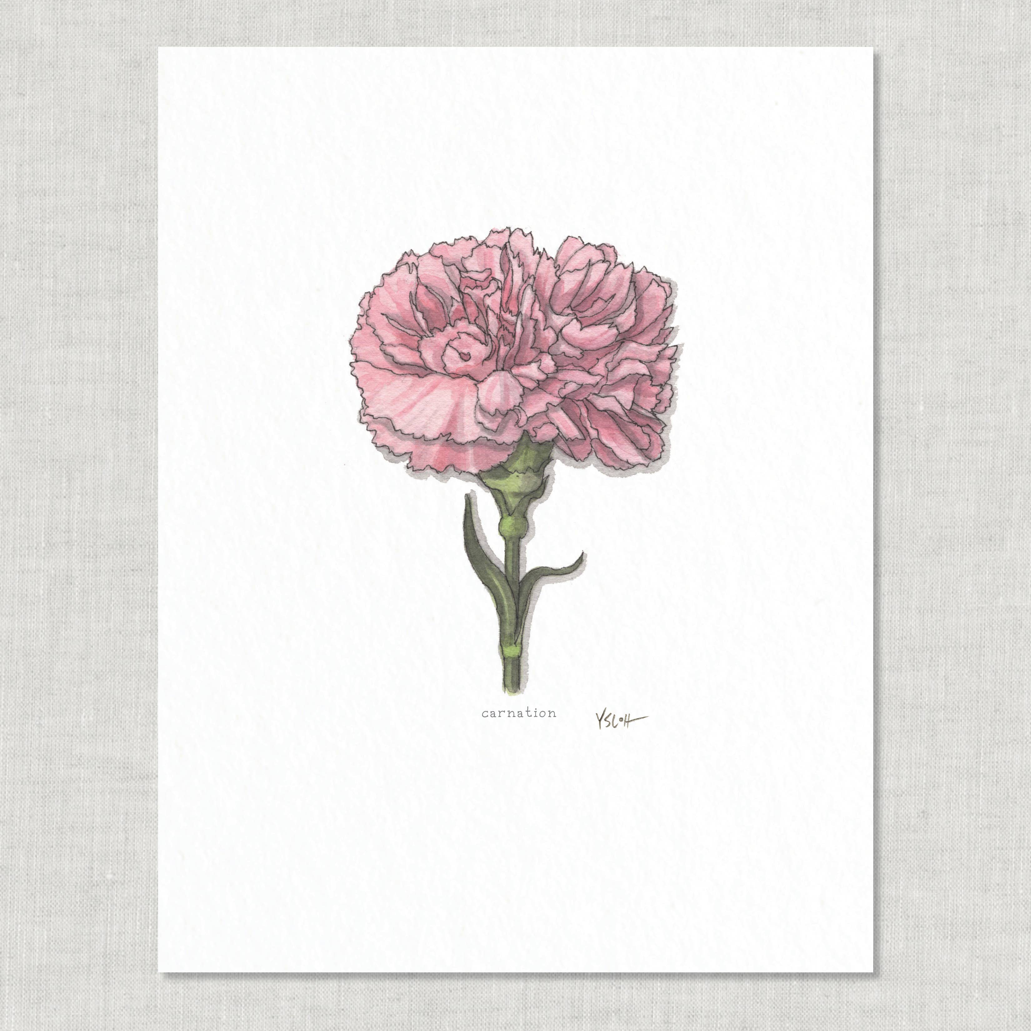 Prints / Flowers (1 of 2)