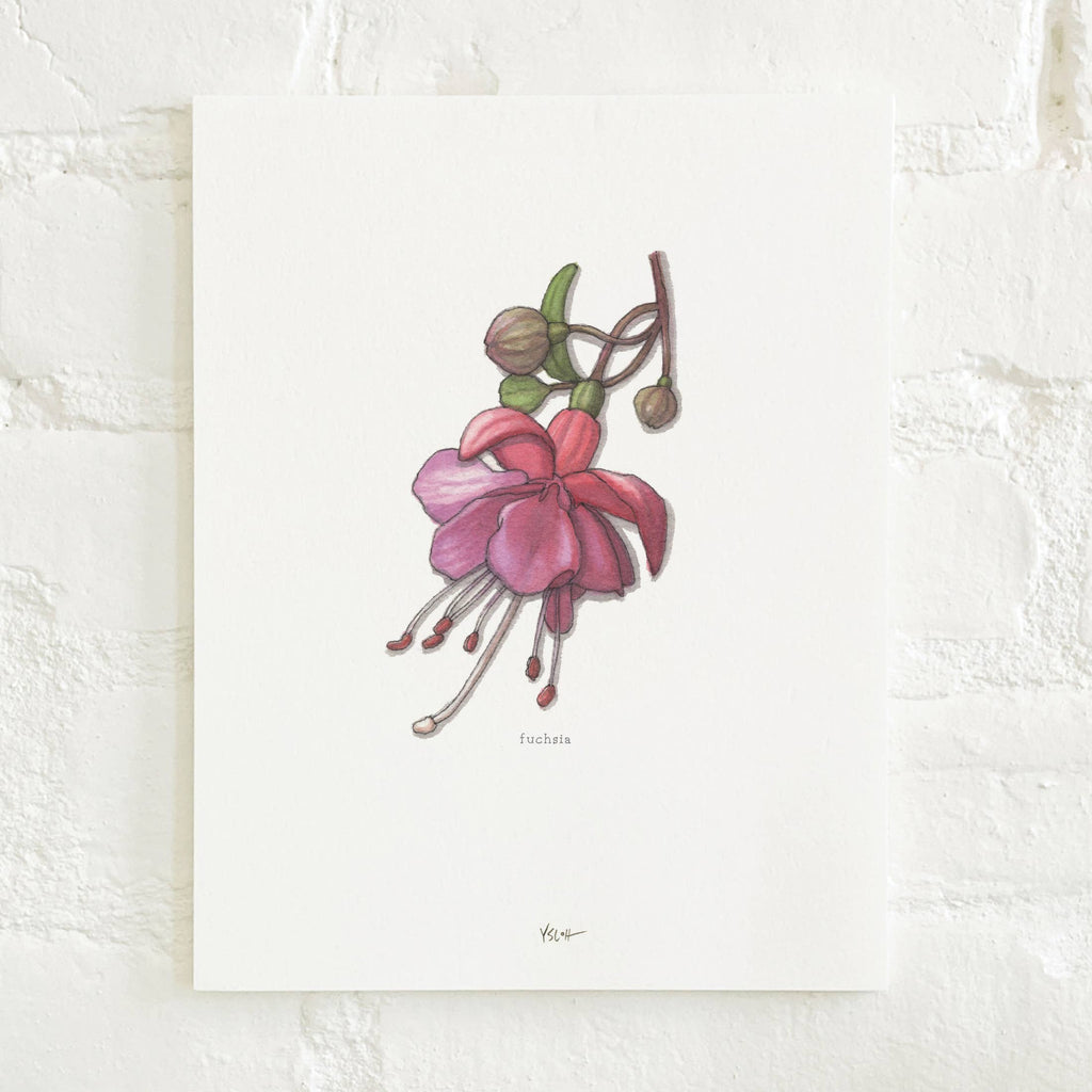 Prints / Flowers (1 of 2)