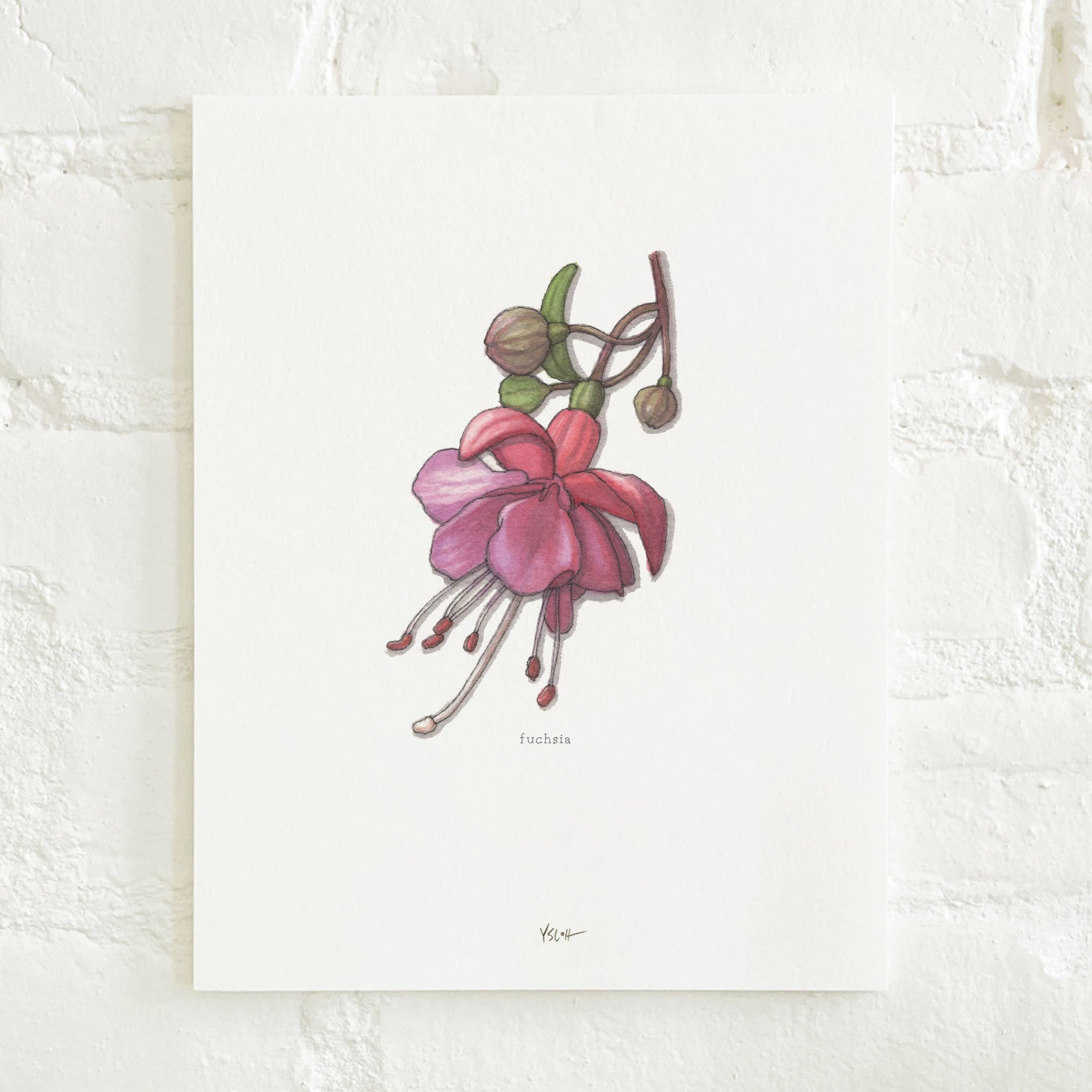 Prints / Flowers (1 of 2)