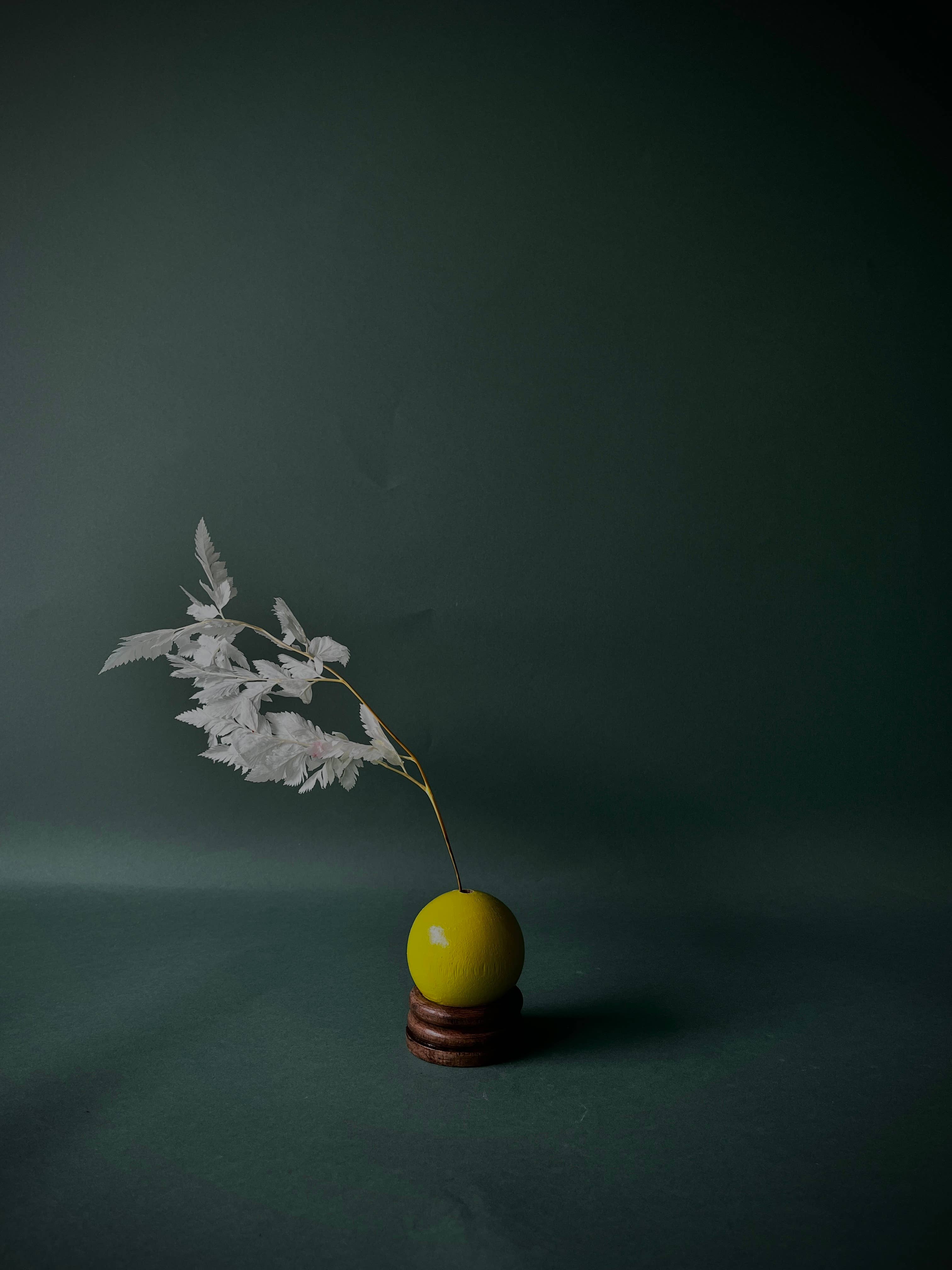 Wooden Incense Holder-MARI