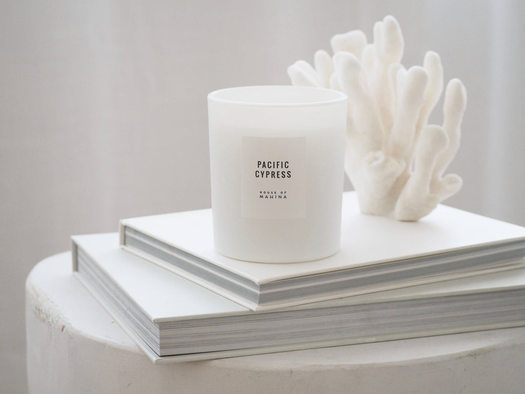 Pacific Cypress Candle 12 oz - Fresh Coastal Earthy
