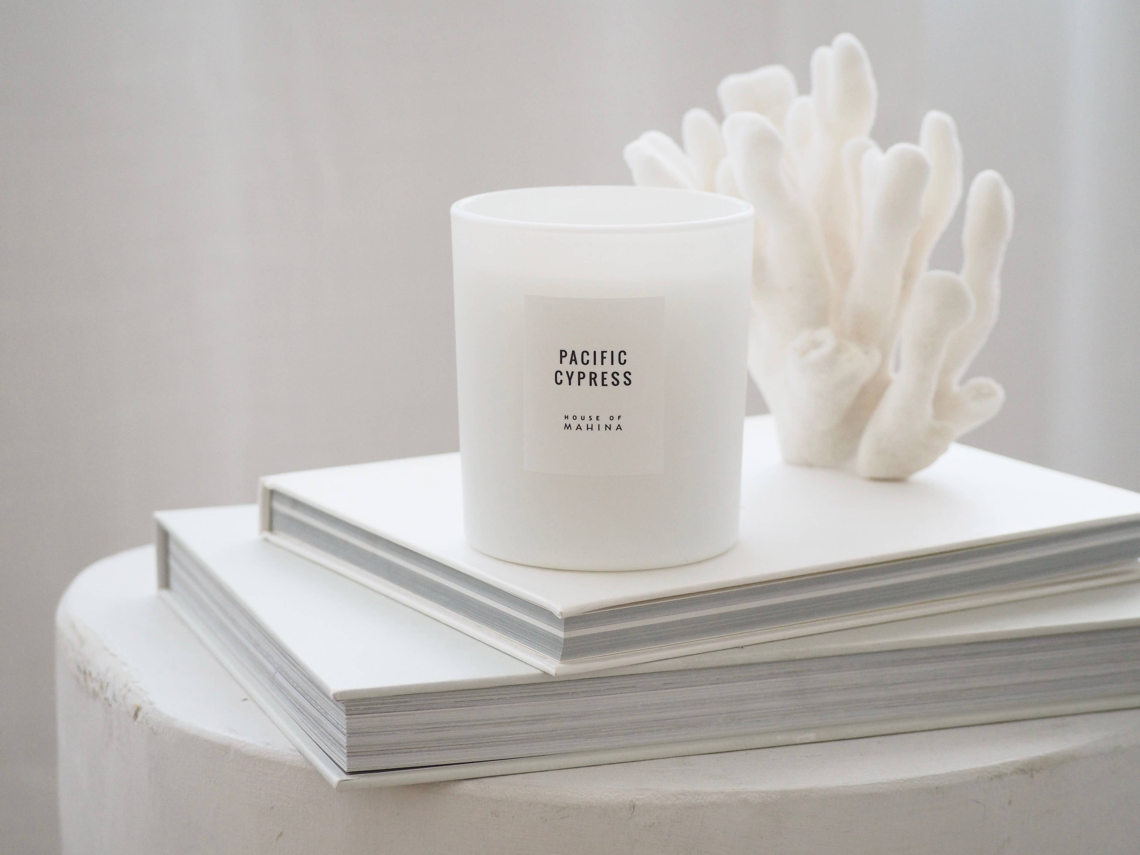 Pacific Cypress Candle 12 oz - Fresh Coastal Earthy