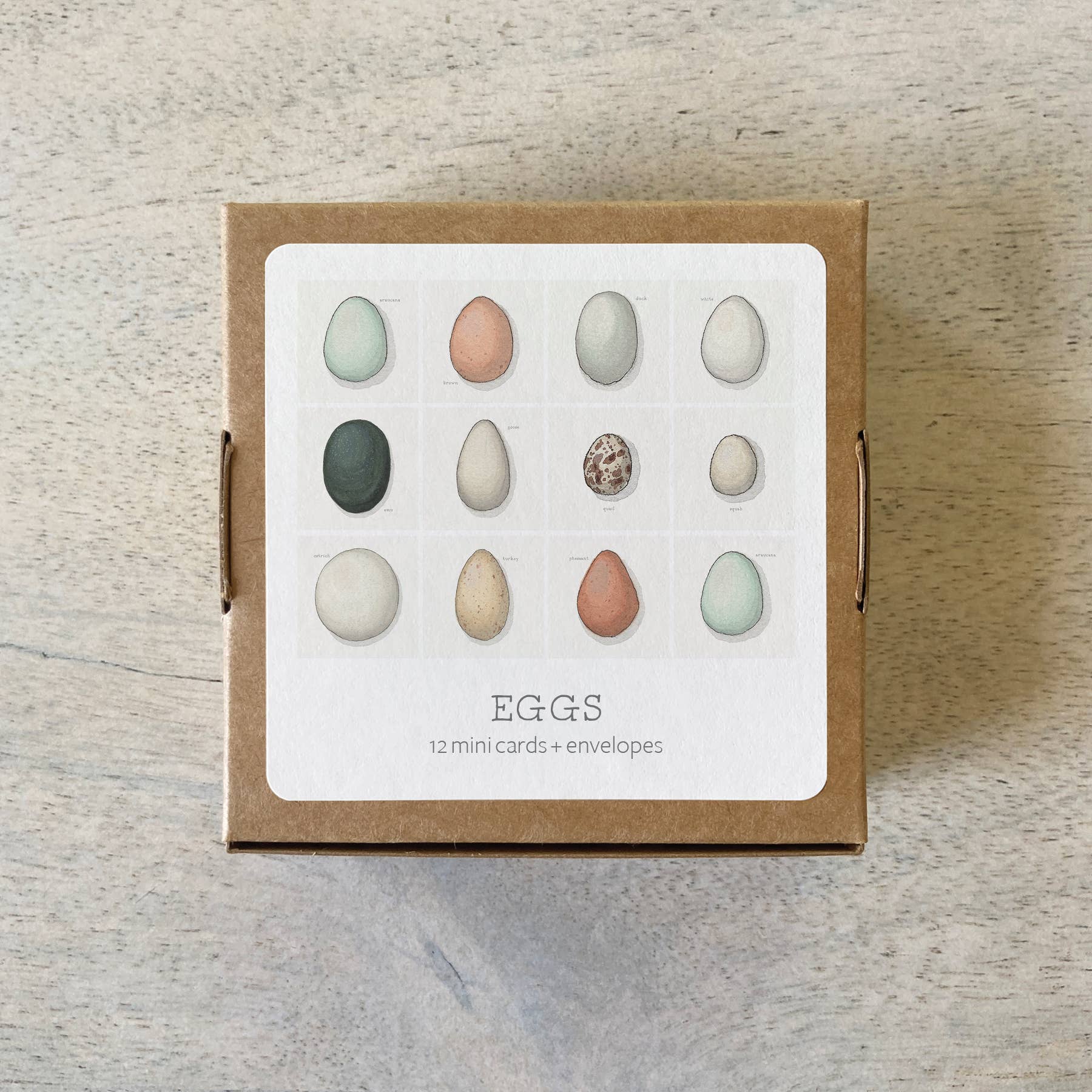 Mini Cards Set / Eggs . Types