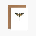 Many Thanks Moth Botanical Thank You Card Insect Image