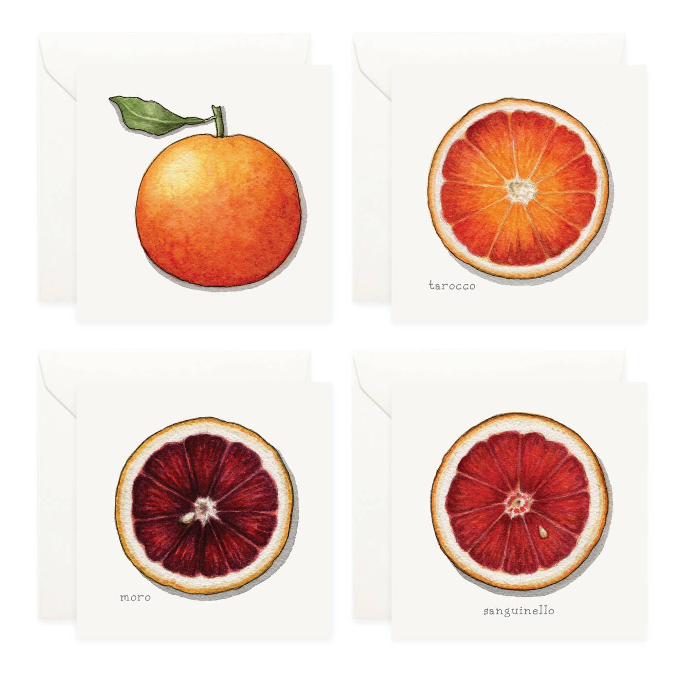 Mini Cards Set / Fruit . Oranges