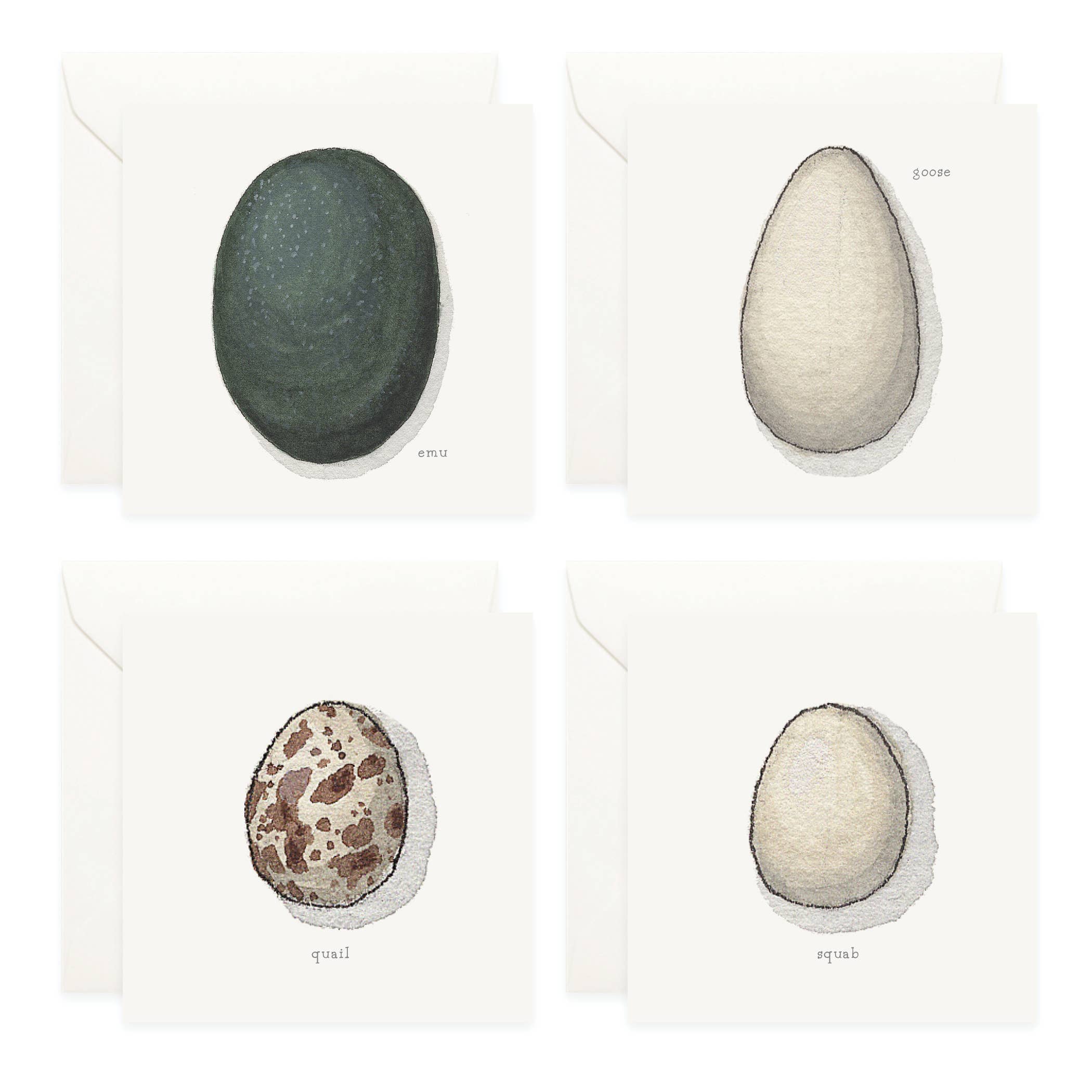 Mini Cards Set / Eggs . Types