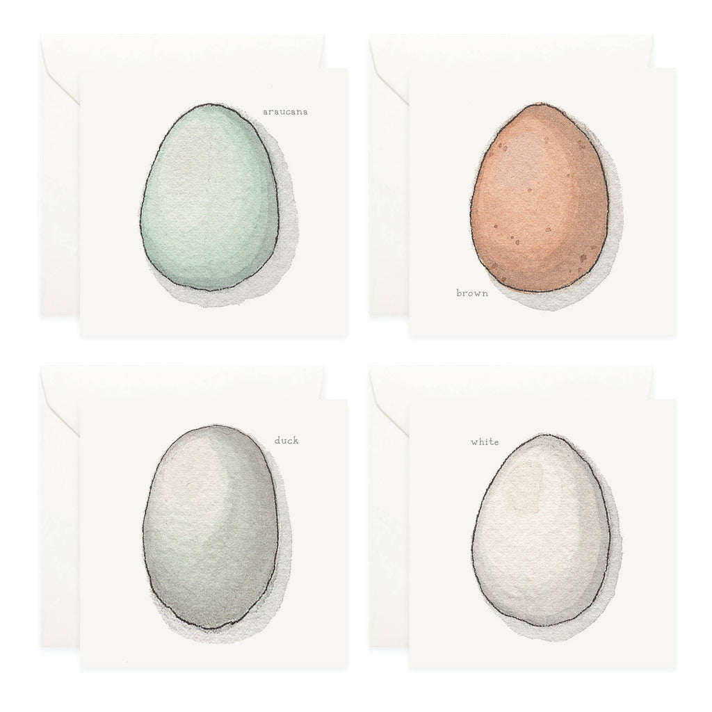 Mini Cards Set / Eggs . Types