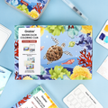 Ocean-Themed Watercolor Coloring Club Box