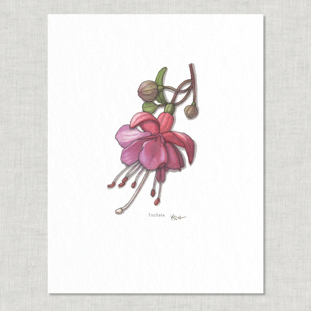 Prints / Flowers (1 of 2)