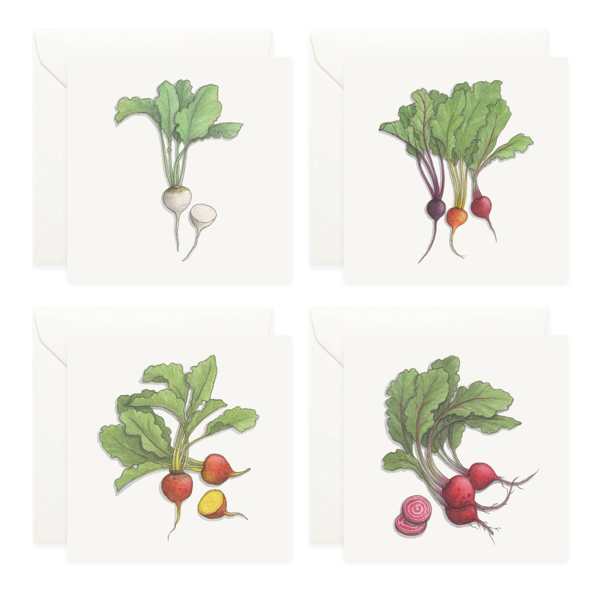Mini Cards Set / Vegetables . Beets