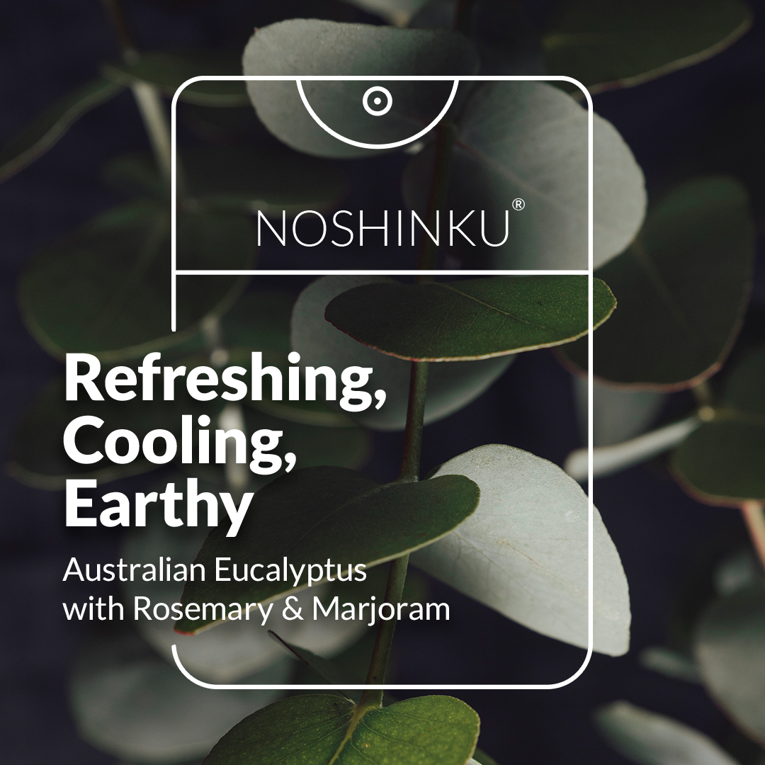 REFILLABLE Eucalyptus Moisturizing Pocket Hand Sanitizer