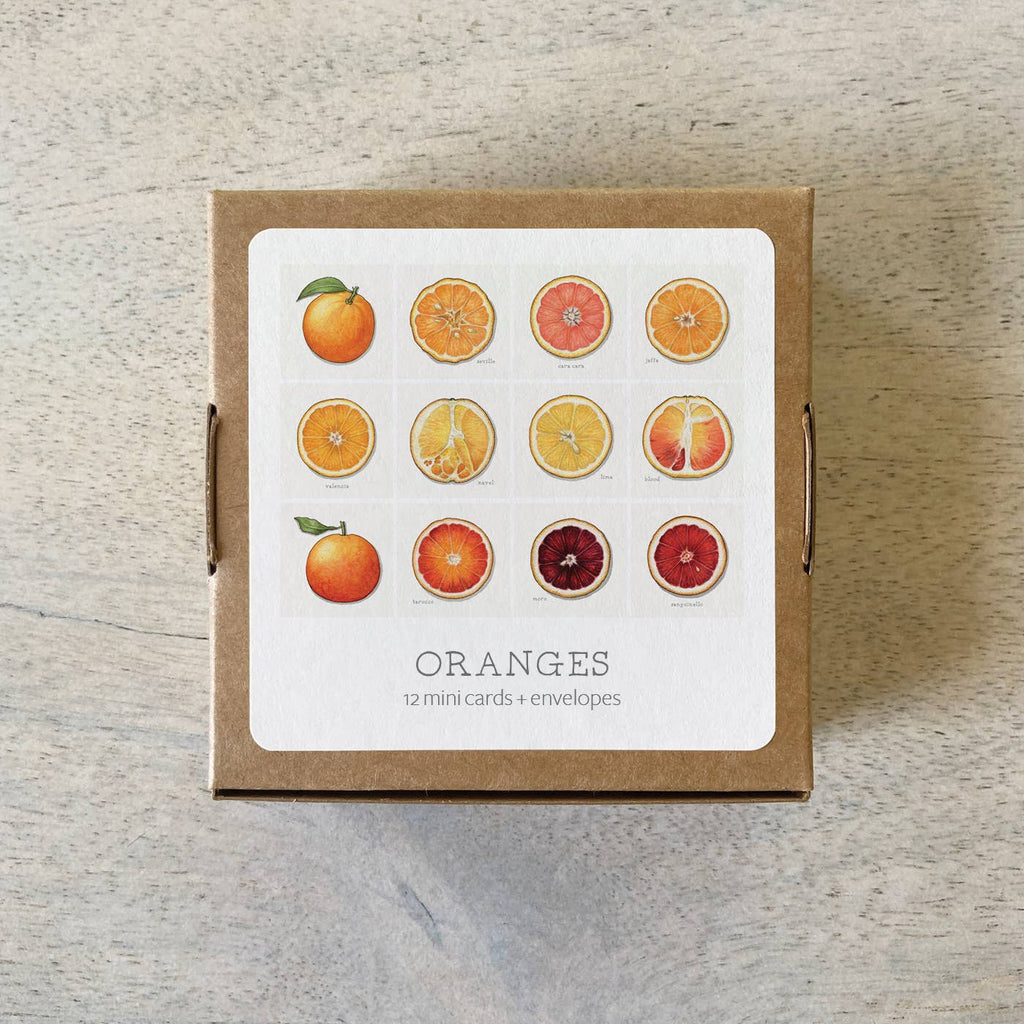 Mini Cards Set / Fruit . Oranges