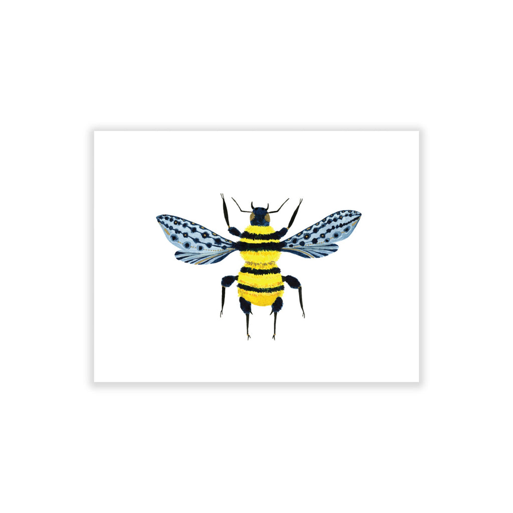 Bugs & Butterflies: Series 2, Boxed Set of 8 Note Cards, 2 each of 4 designs