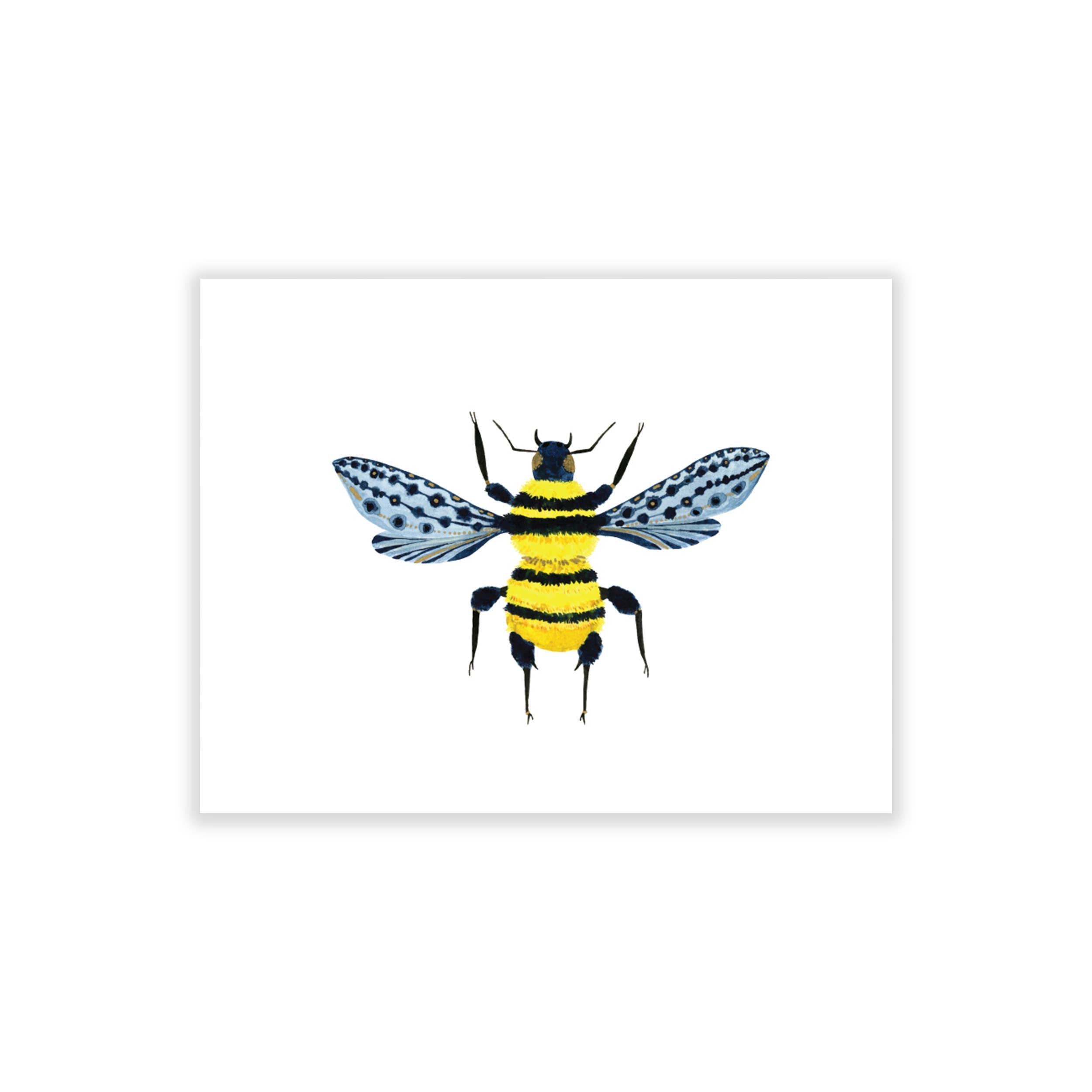 Bugs & Butterflies: Series 2, Boxed Set of 8 Note Cards, 2 each of 4 designs