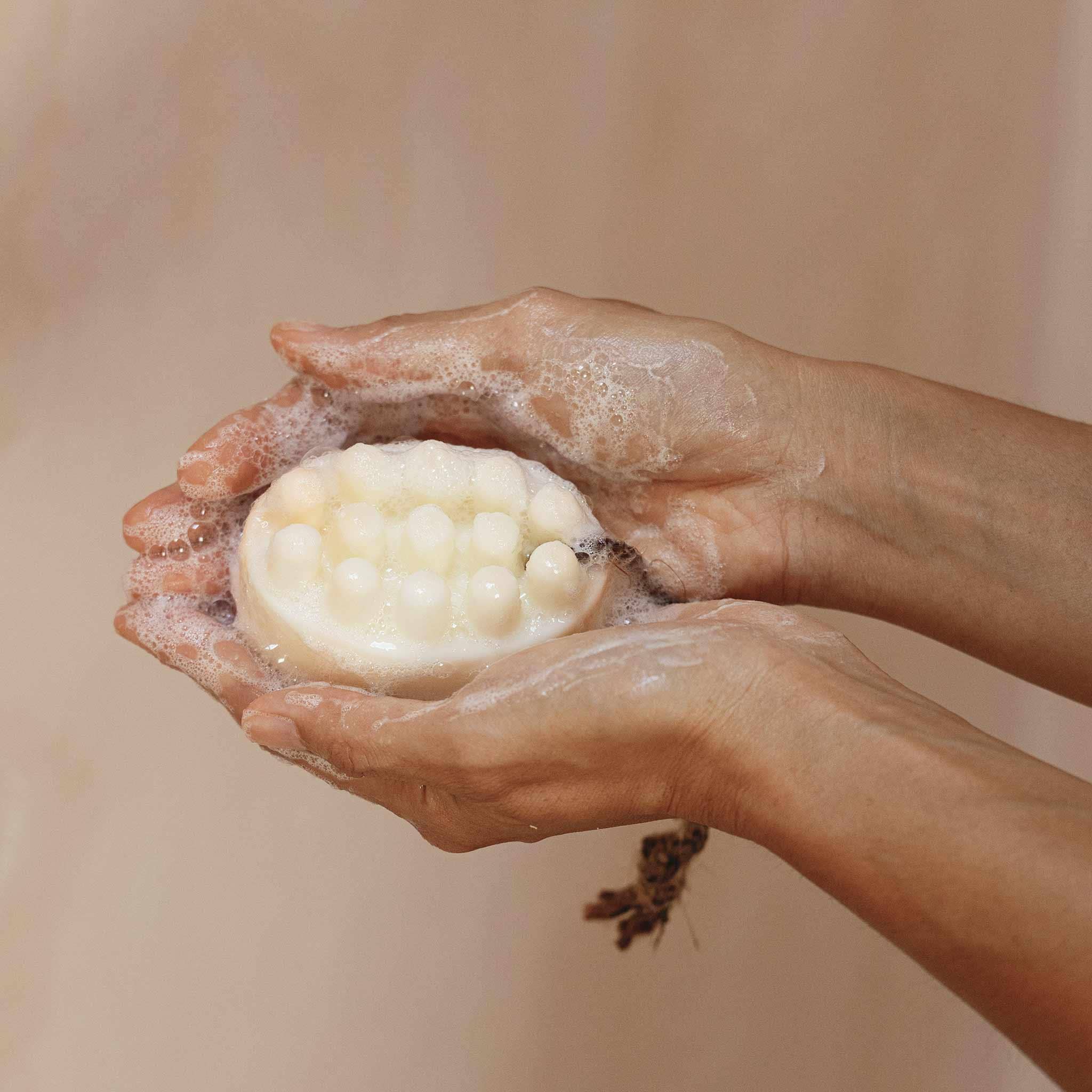 Hinoki + Shea Butter Bar Soap