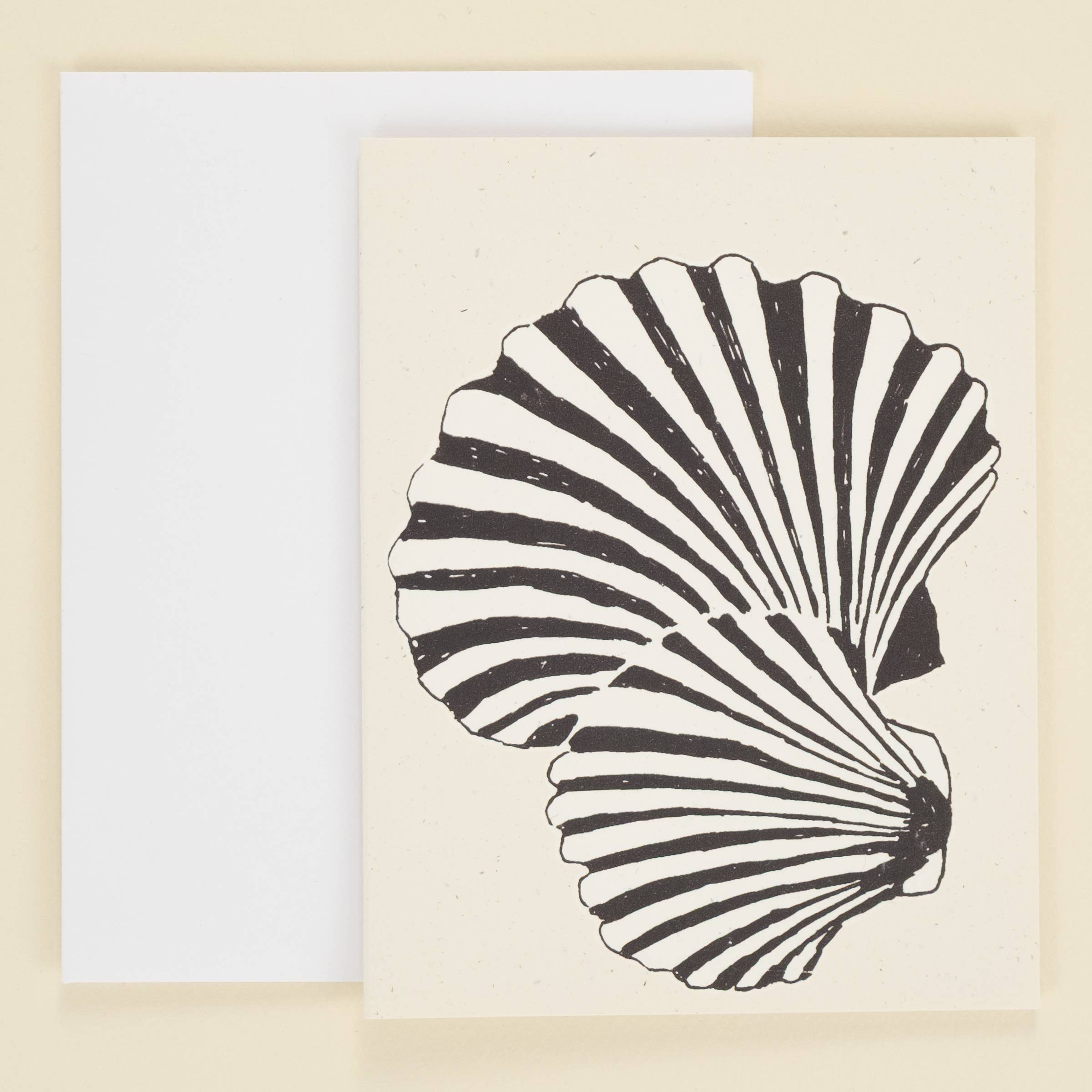Scallop shells card