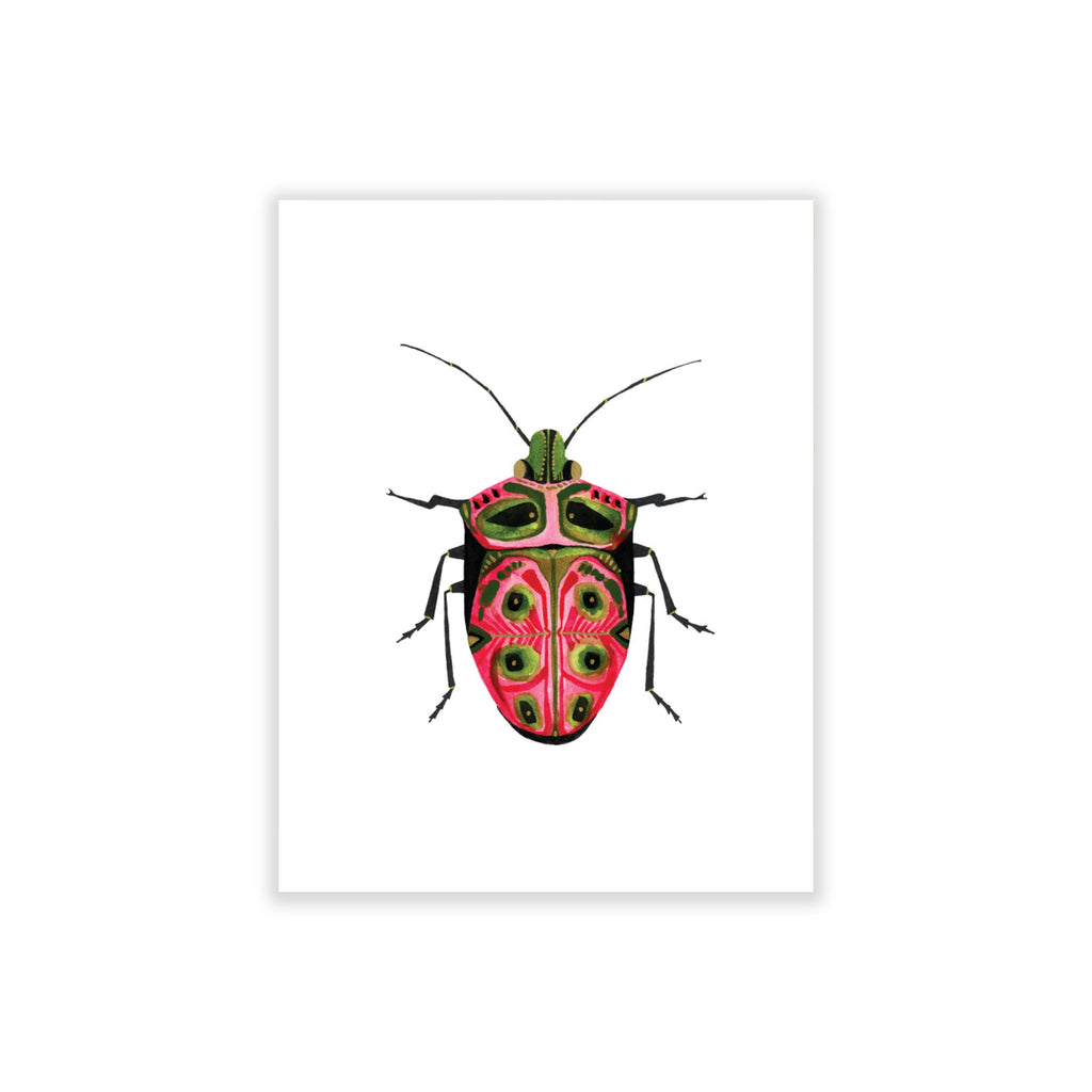 Bugs & Butterflies: Series 2, Boxed Set of 8 Note Cards, 2 each of 4 designs