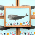 New! Whale and Sea Jewels / Boxed Note Cards