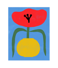 Poppy Art Print