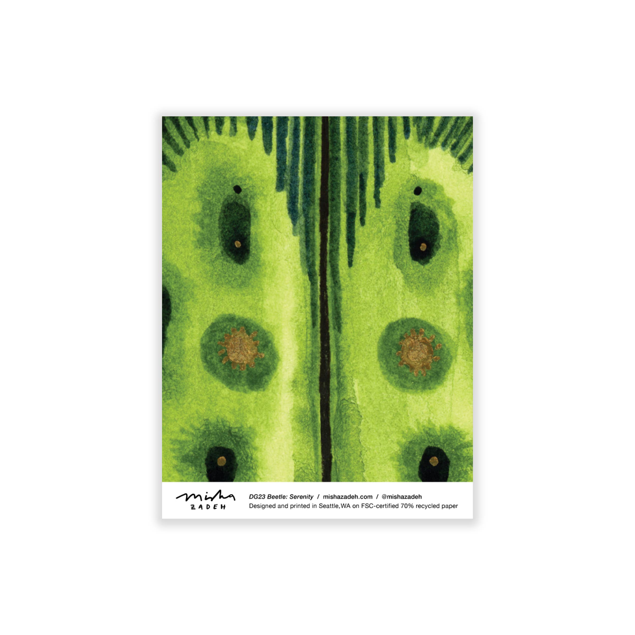 Bugs & Butterflies: Series 2, Boxed Set of 8 Note Cards, 2 each of 4 designs