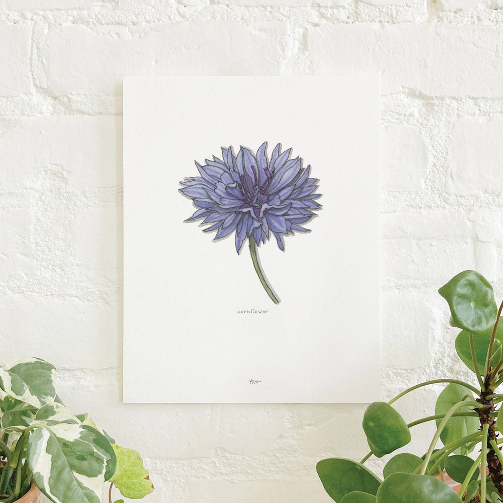 Prints / Flowers (1 of 2)