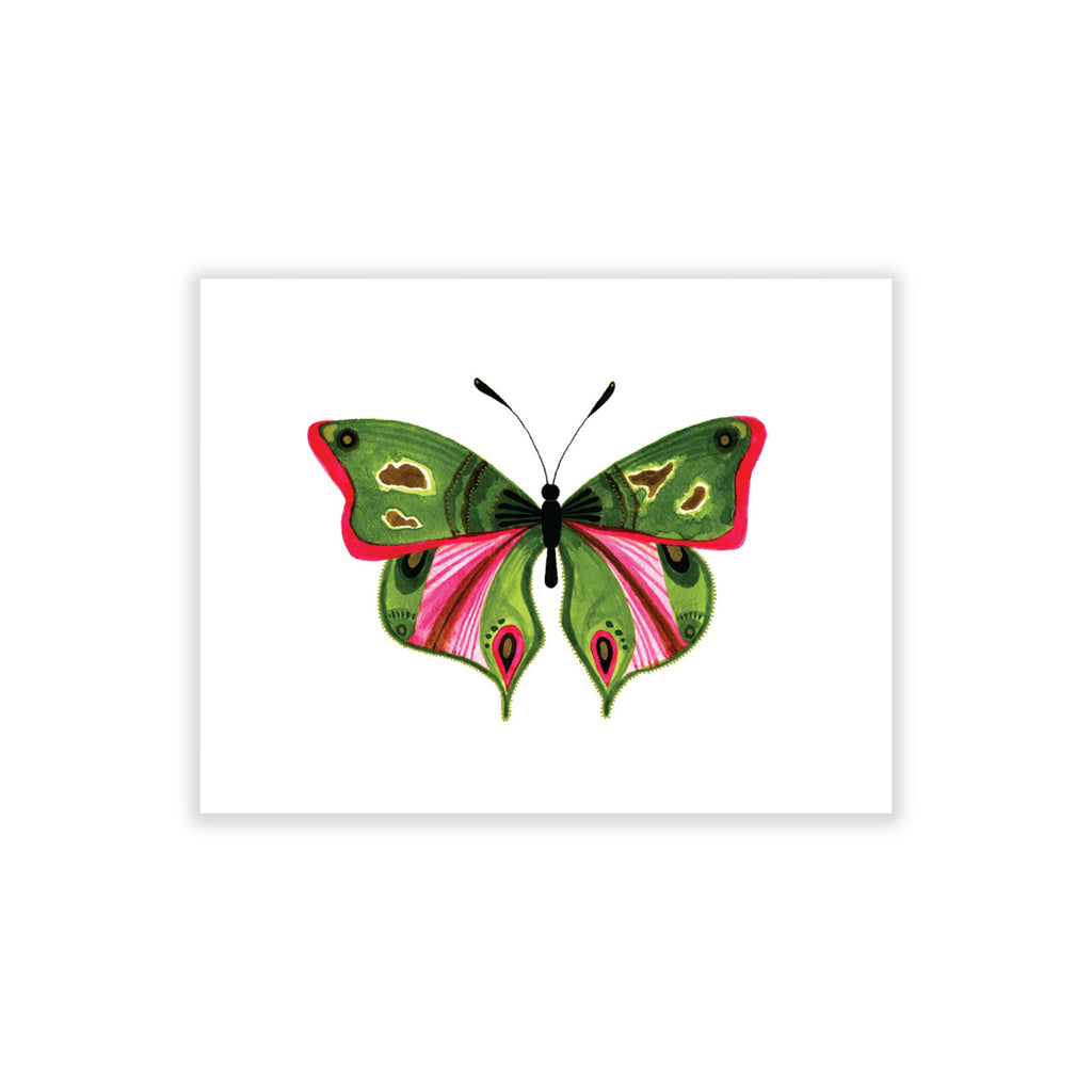 Bugs & Butterflies: Series 2, Boxed Set of 8 Note Cards, 2 each of 4 designs
