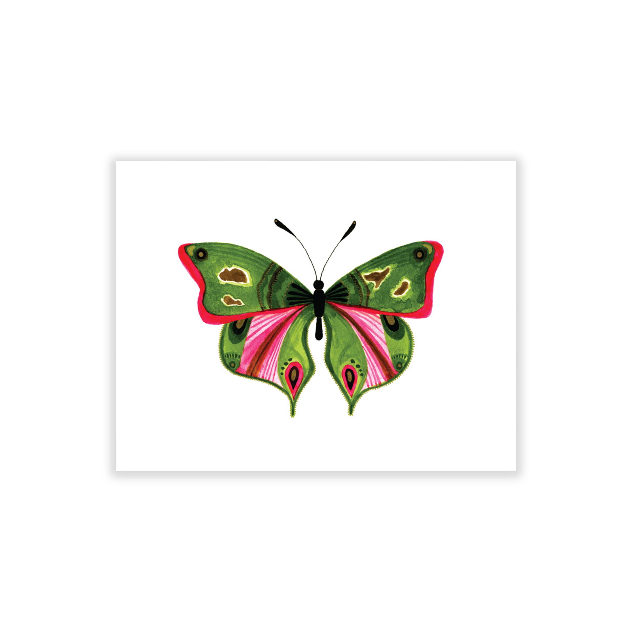 Bugs & Butterflies: Series 2, Boxed Set of 8 Note Cards, 2 each of 4 designs