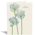 Sympathy Lily of The Nile