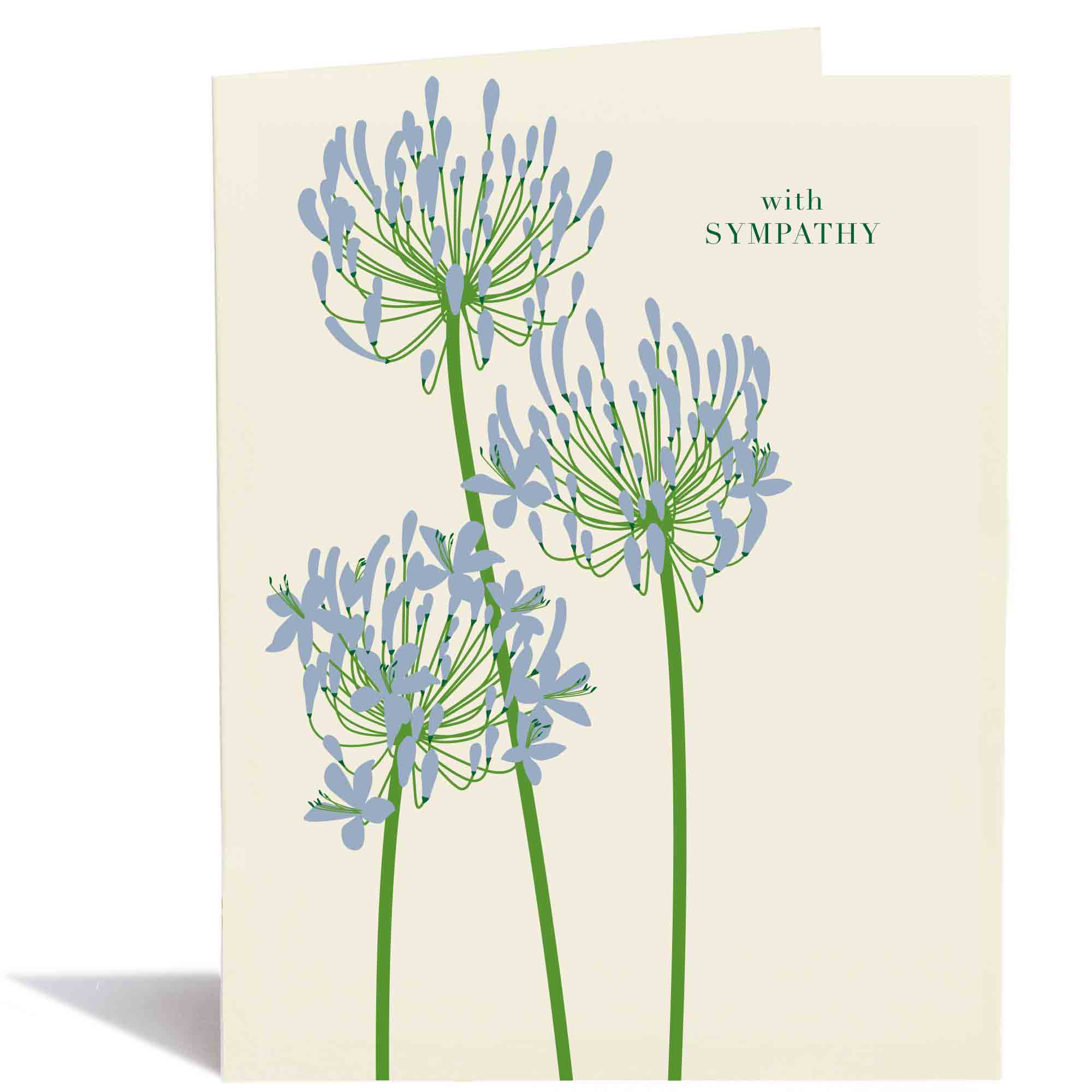 Sympathy Lily of The Nile