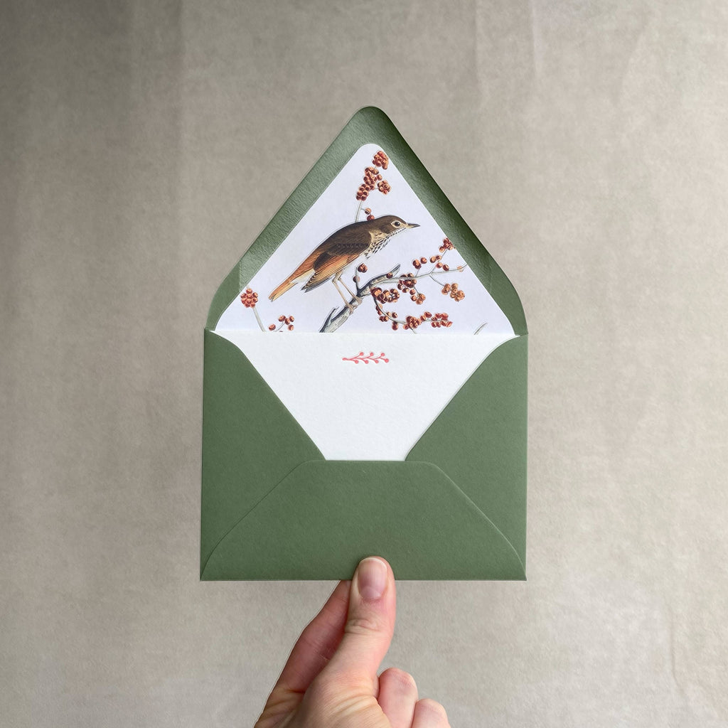 Winter Berry Birds Letterpress Stationery Pack