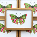 Bugs & Butterflies: Series 2, Boxed Set of 8 Note Cards, 2 each of 4 designs