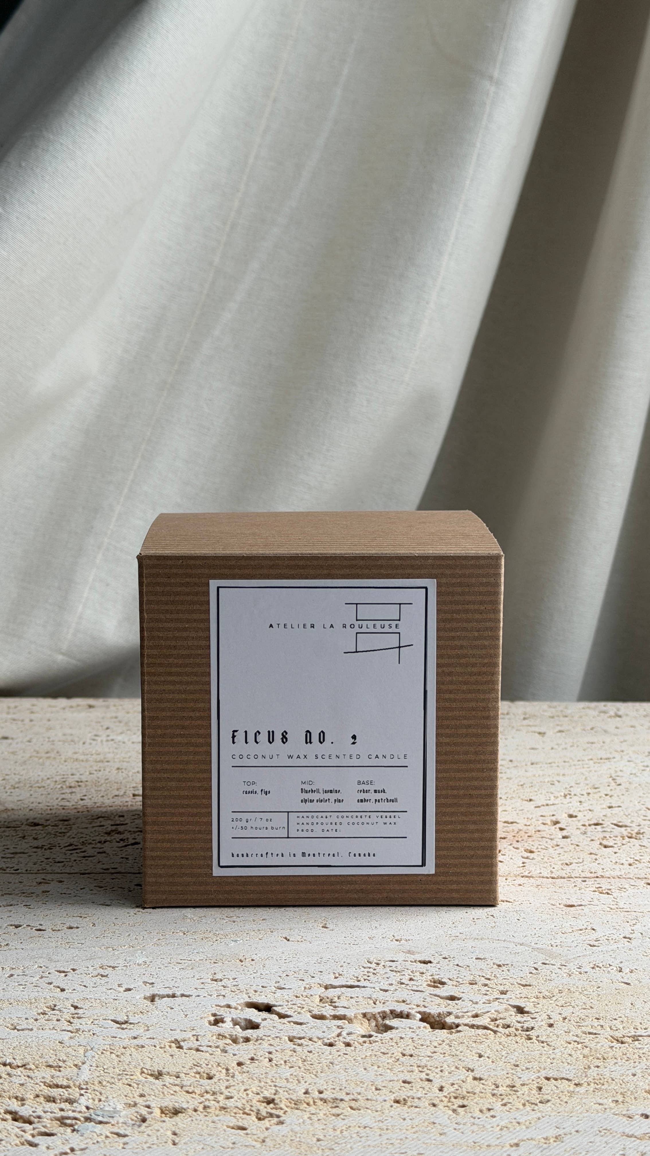 FICUS no. 2 - coconut wax candle in hand cast concrete jar
