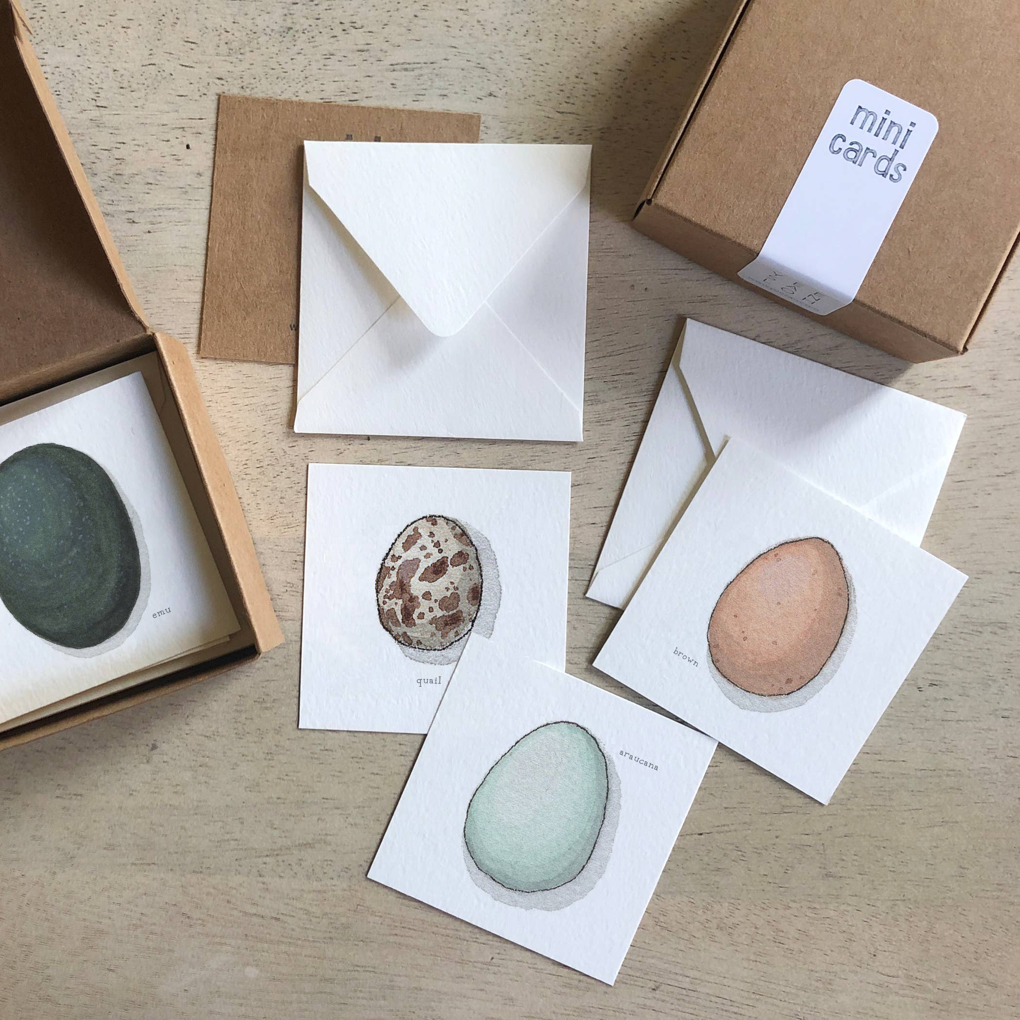 Mini Cards Set / Eggs . Types