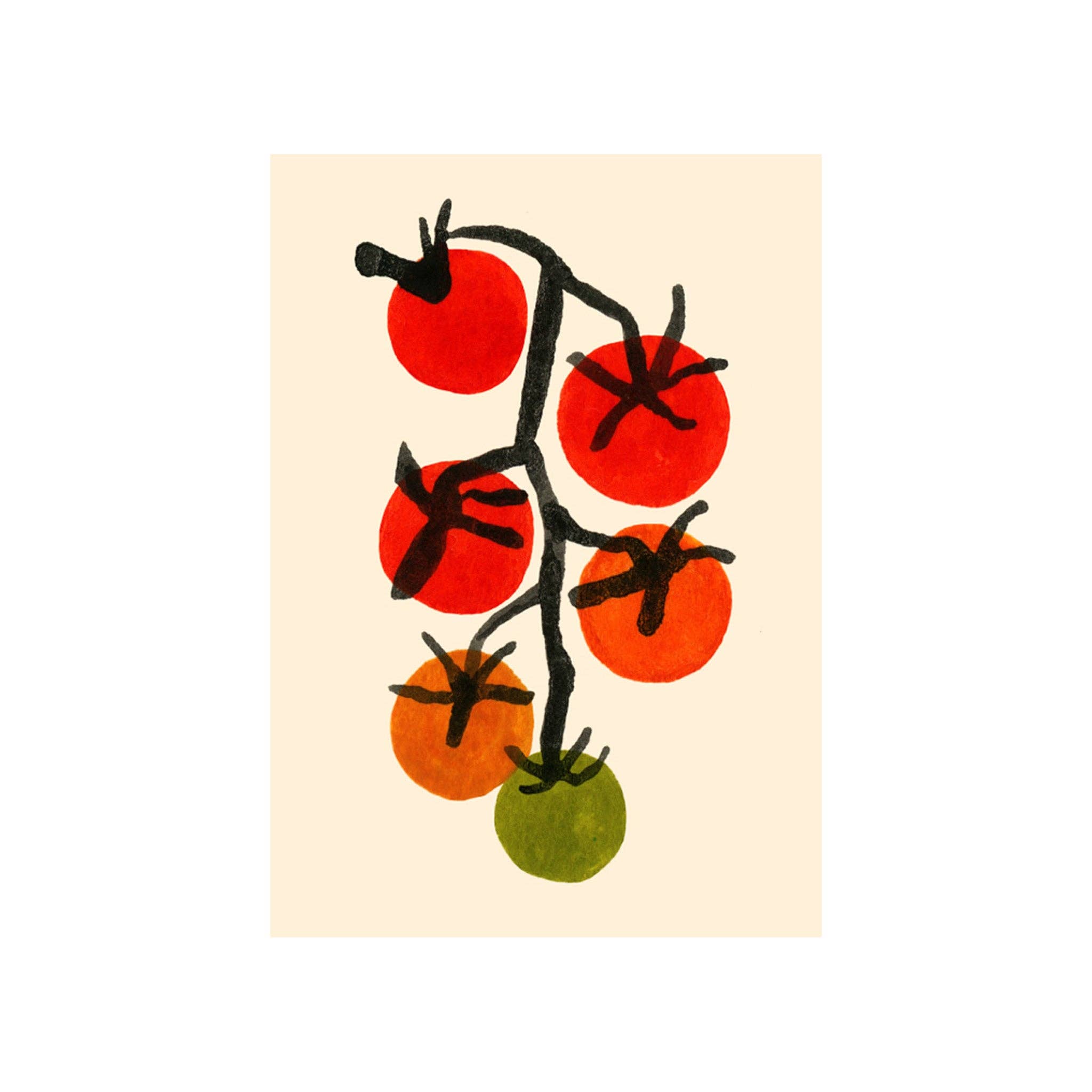 New! Rainbow Tomatoes / Boxed Note Cards