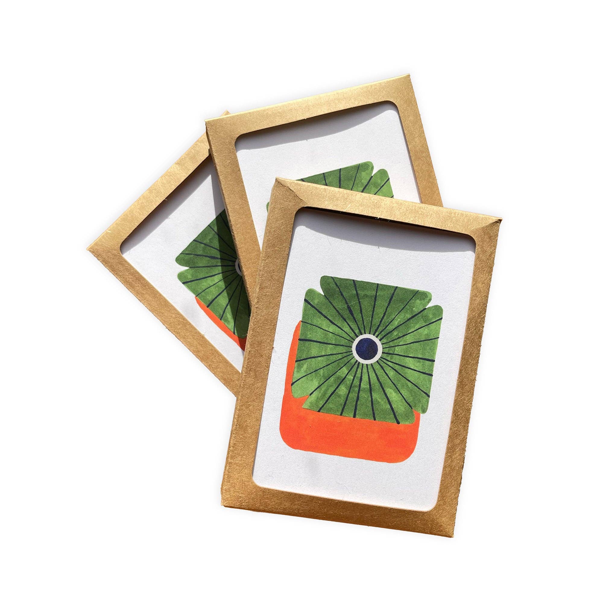 Persimmon / Boxed Note Cards