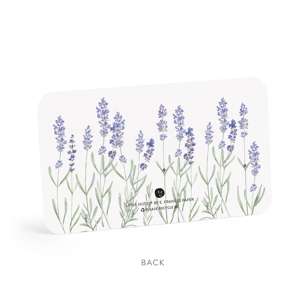 Lavender Little Notes® NEW 55 Count