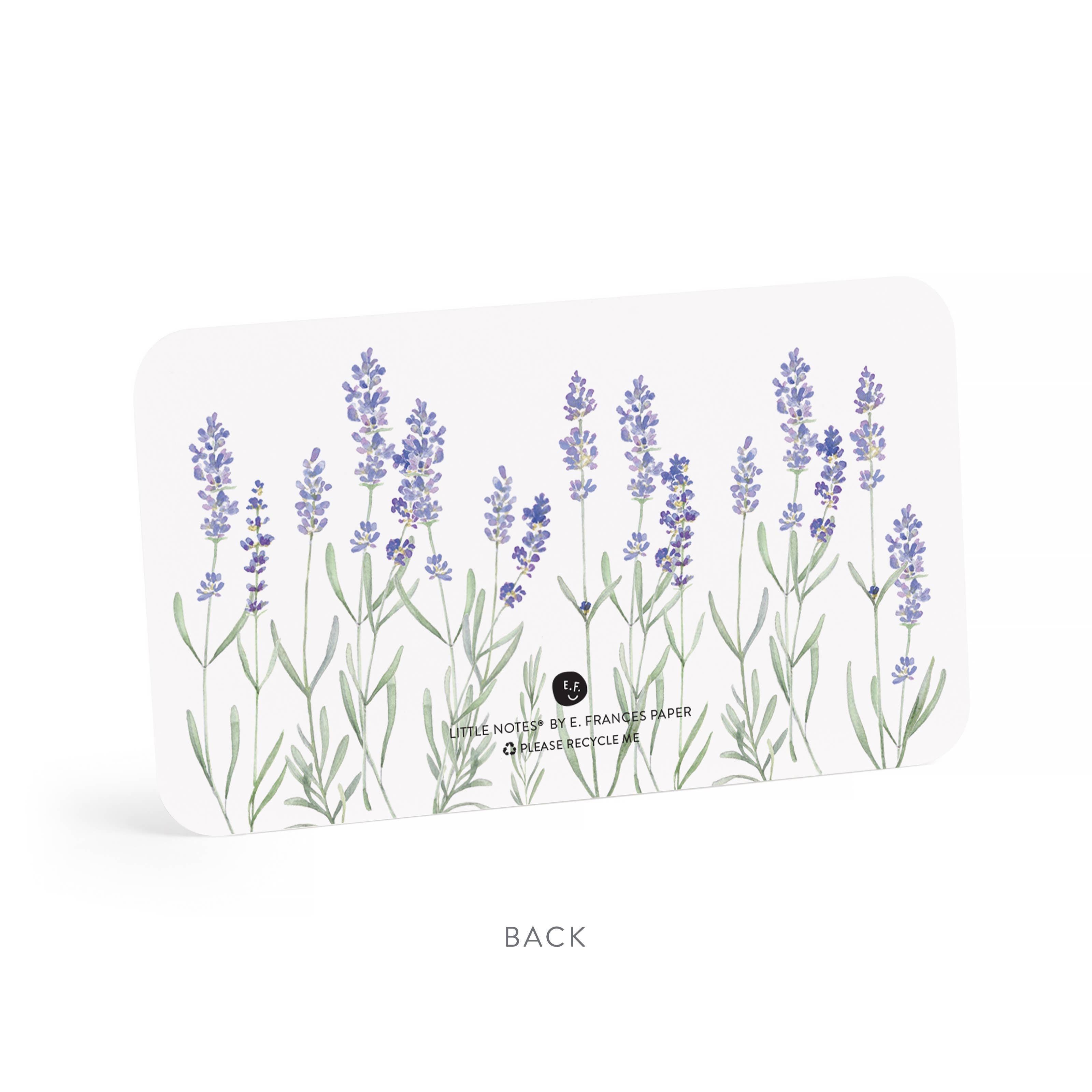 Lavender Little Notes® NEW 55 Count