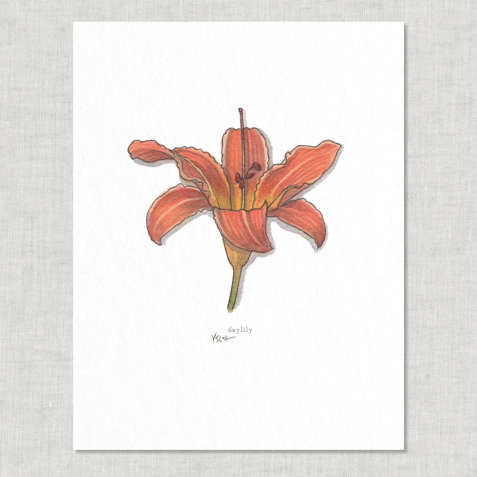 Prints / Flowers (1 of 2)